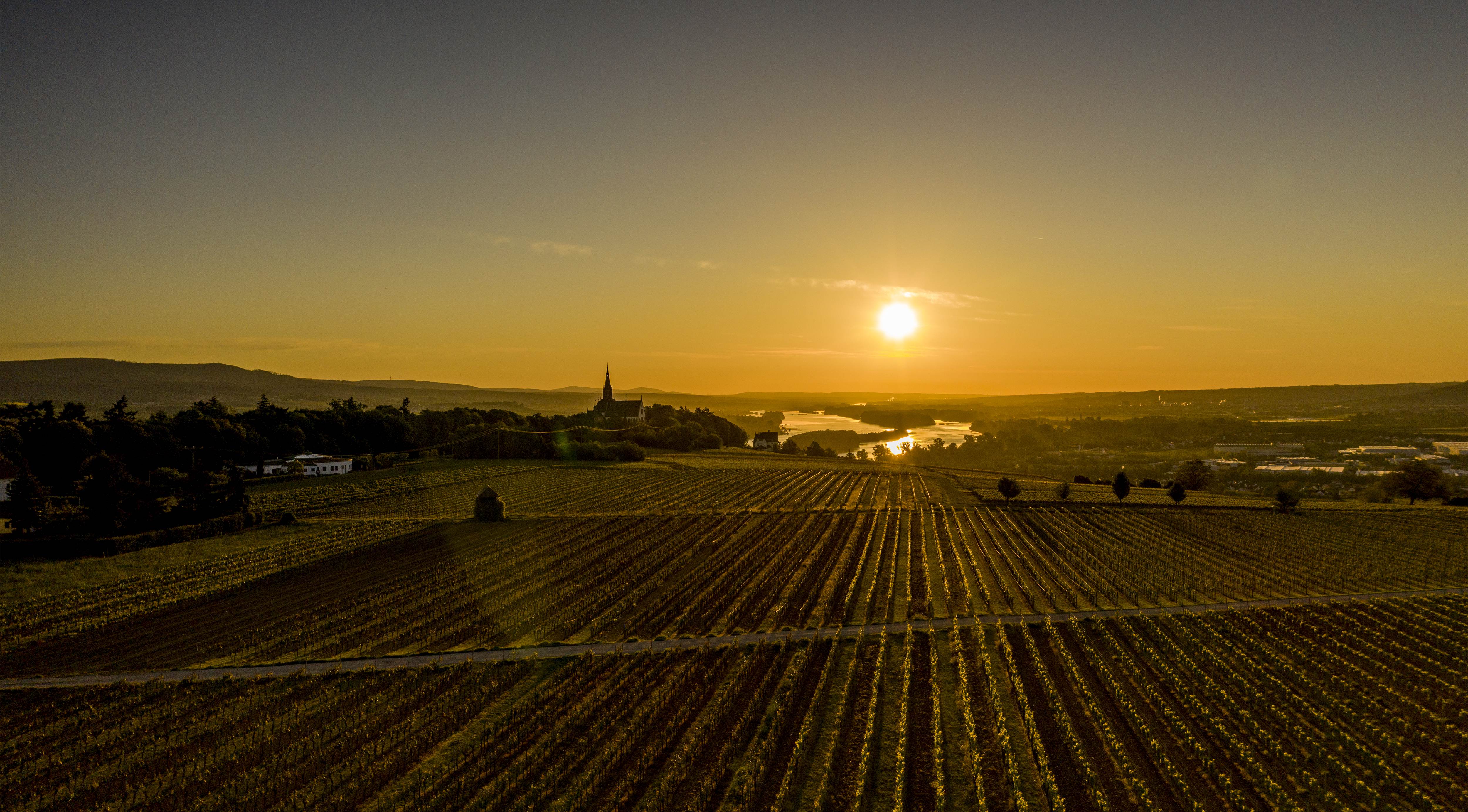 Rheinpanorama bei Bingen