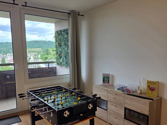 Rheintalblick – Foto 9