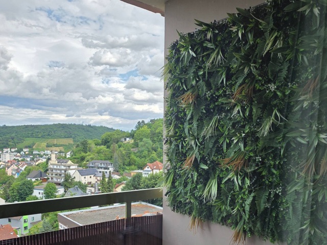 Rheintalblick – Foto 24